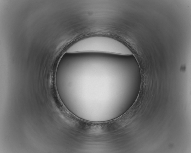 X0000089720740200706210853