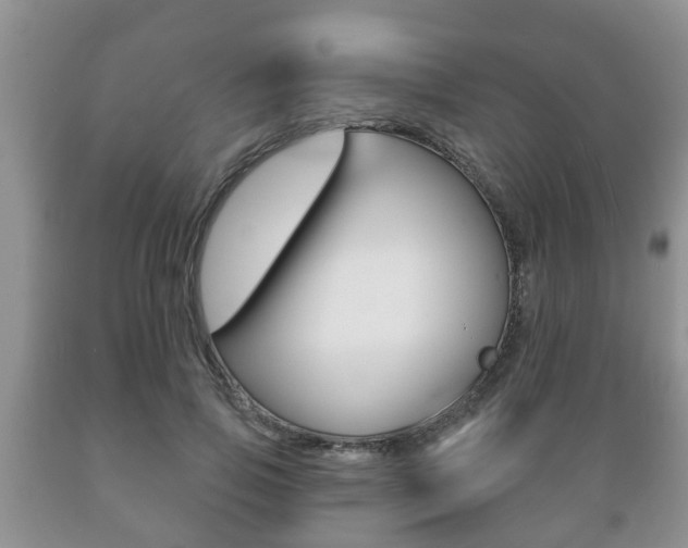 X0000089720741200706210853