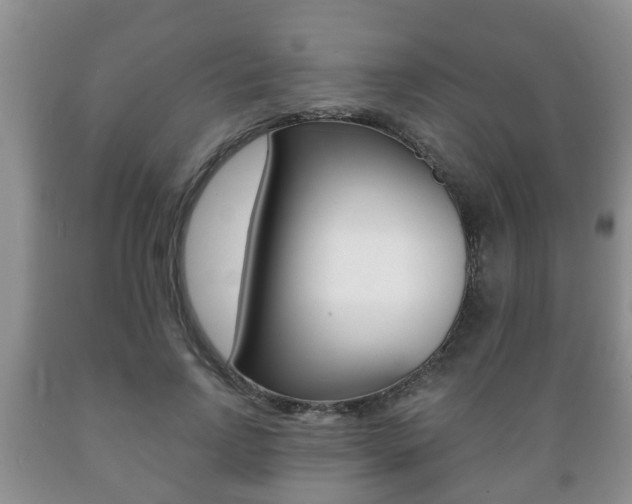 X0000089720742200706210853