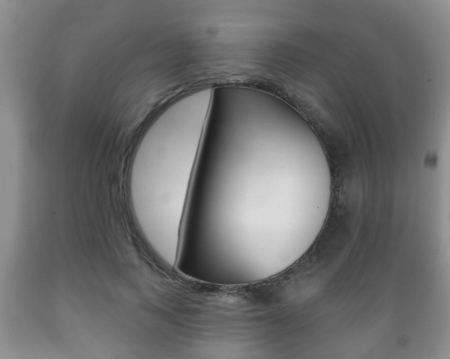 X0000089720743200706210853