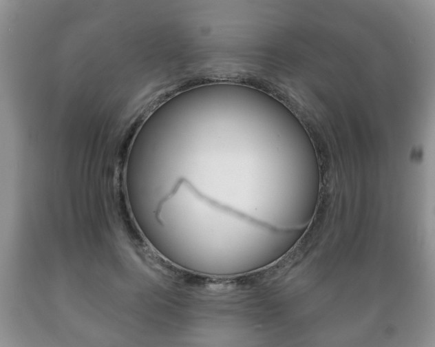 X0000089720744200706210853