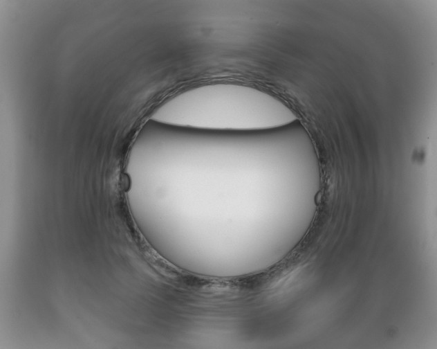X0000089720745200706210853