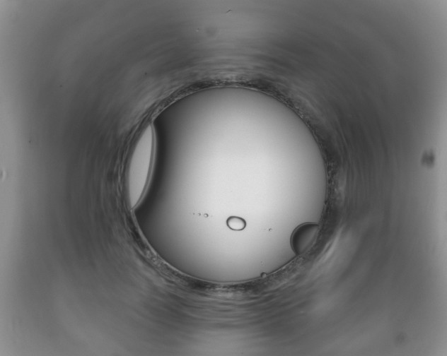 X0000089720746200706210853