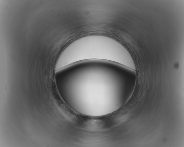 X0000089720748200706210853