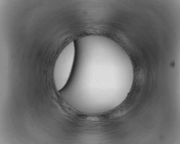 X0000089720749200706210853