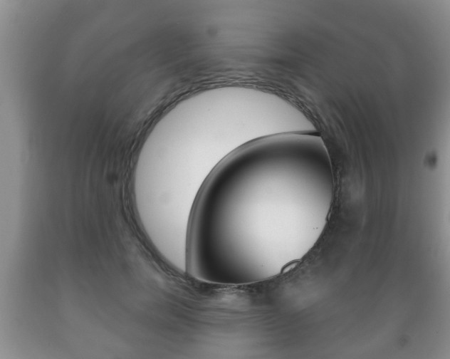 X0000089720750200706210853