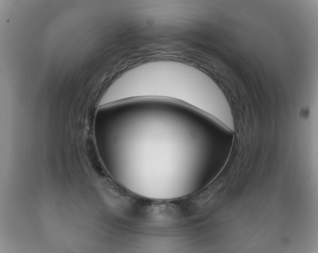 X0000089720752200706210853