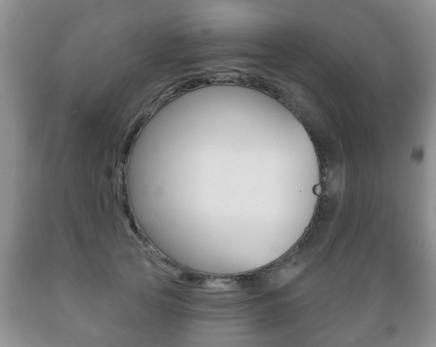 X0000089720753200706210853