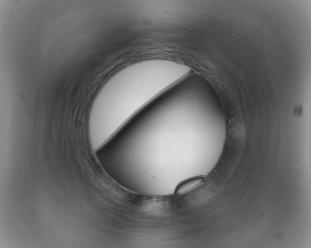 X0000089720754200706210853