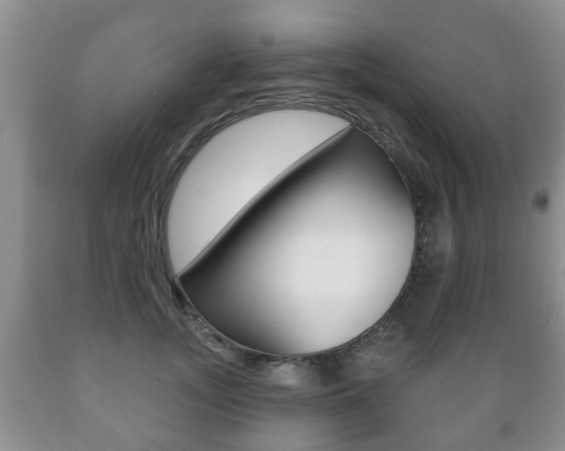 X0000089720755200706210853