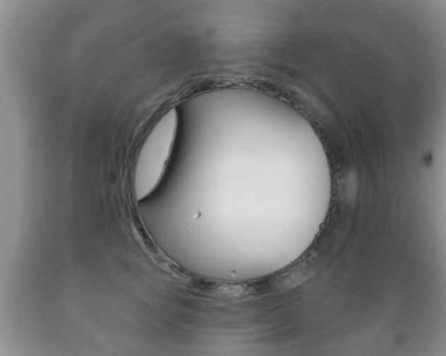 X0000089720757200706210853