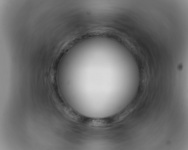 X0000089720758200706210853
