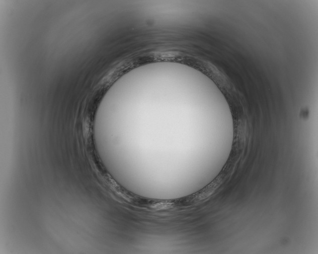 X0000089720761200706210853
