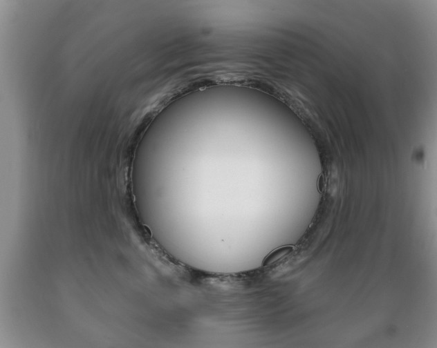 X0000089720763200706210853