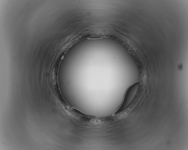 X0000089720764200706210853