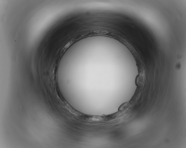 X0000089720765200706210853