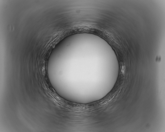 X0000089720771200706210853