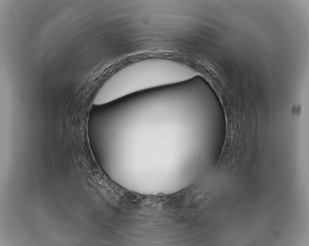 X0000089720773200706210853