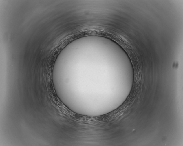 X0000089720774200706210853