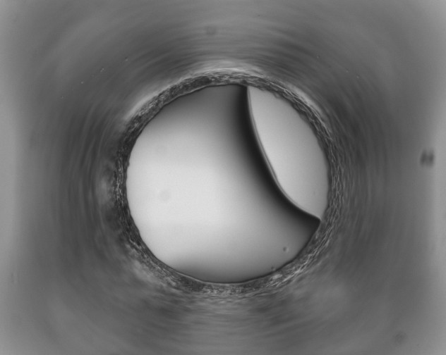 X0000089720775200706210853