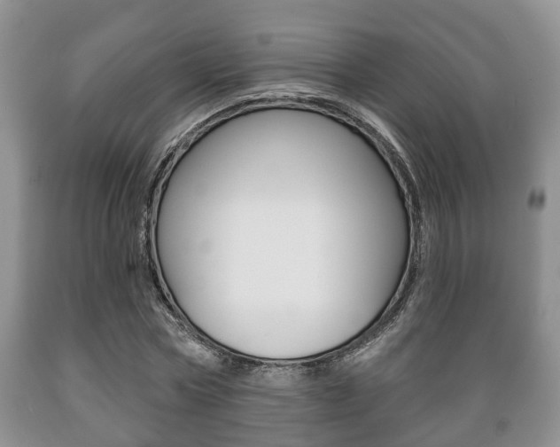 X0000089720778200706210853