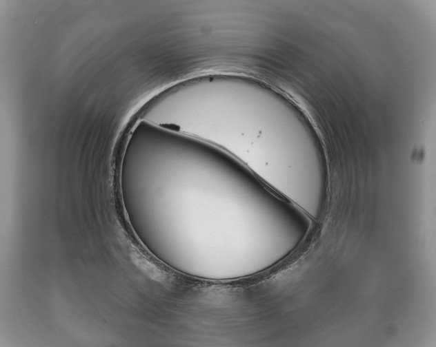 X0000089720779200706210853