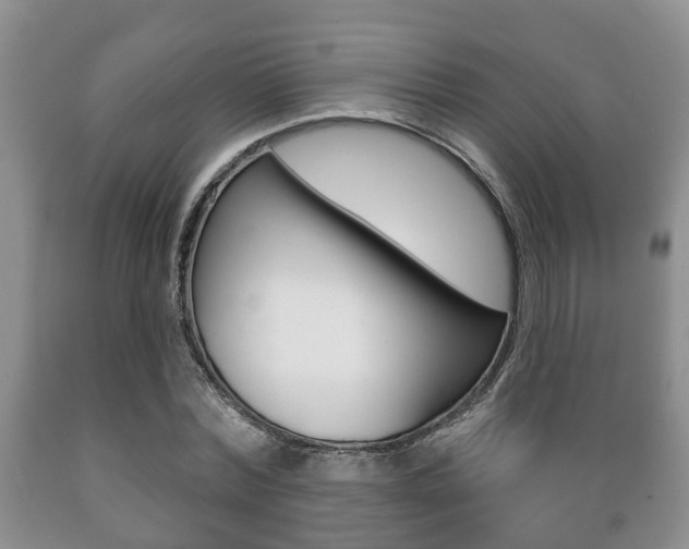X0000089720780200706210853