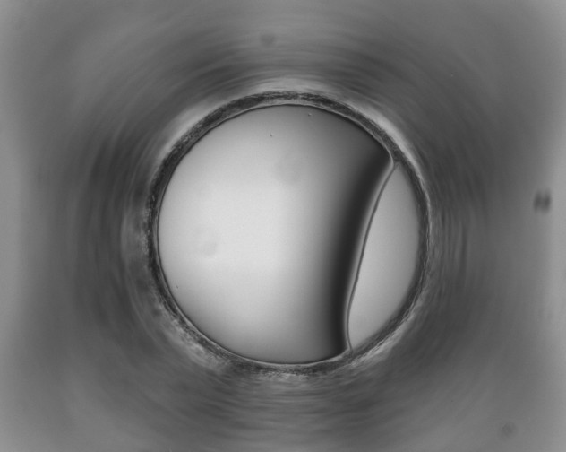 X0000089720783200706210853