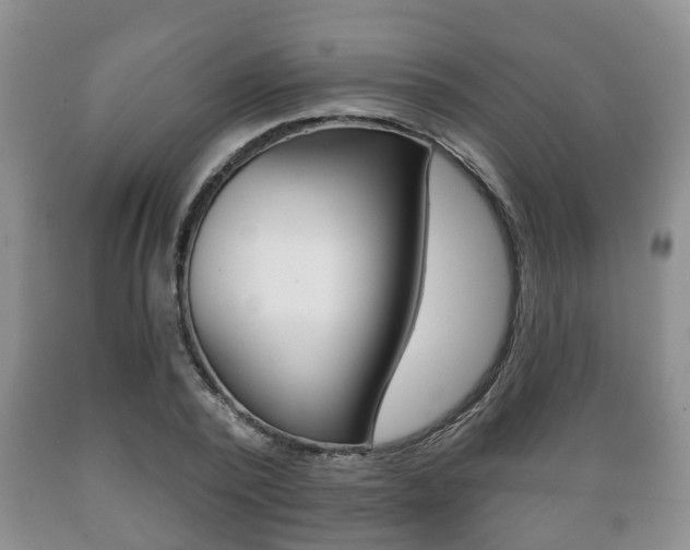 X0000089720784200706210853