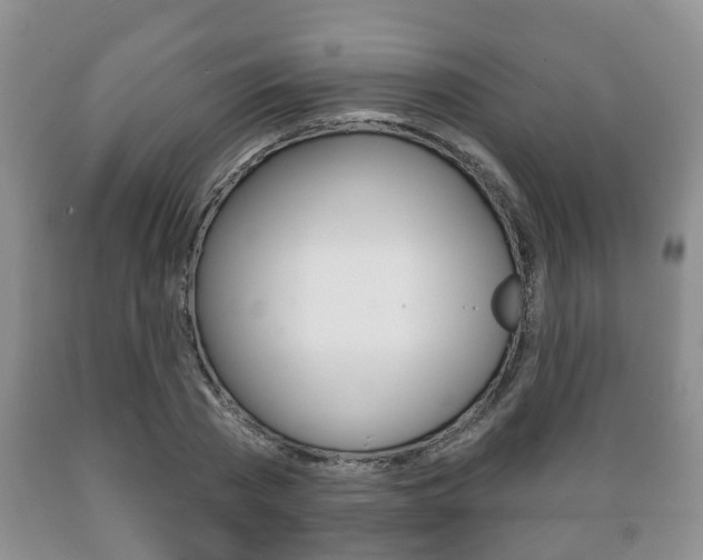 X0000089720785200706210853