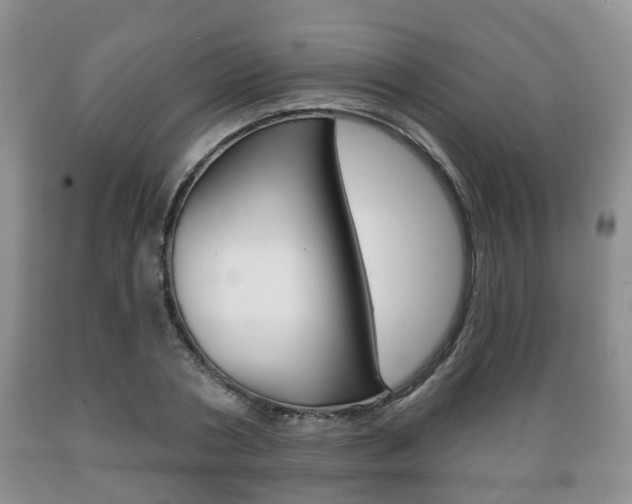 X0000089720786200706210852