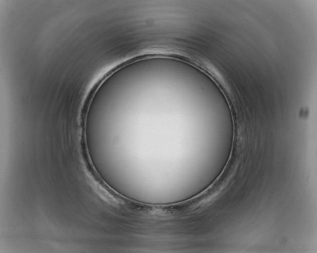X0000089720787200706210852