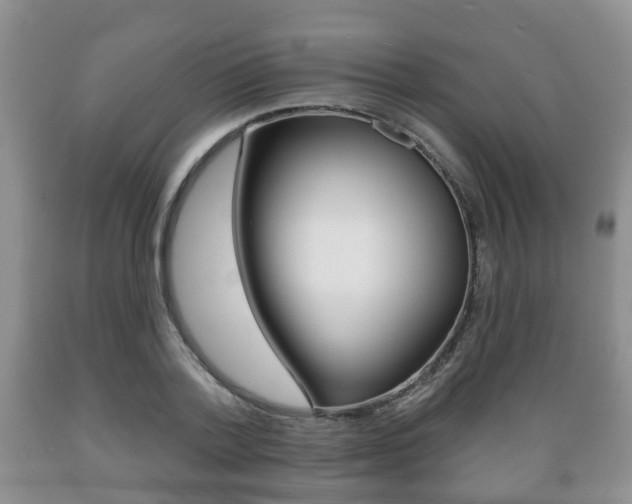 X0000089720788200706210852