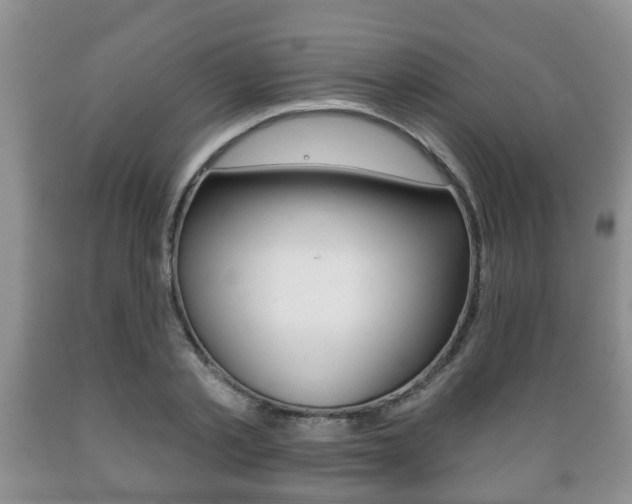 X0000089720789200706210852