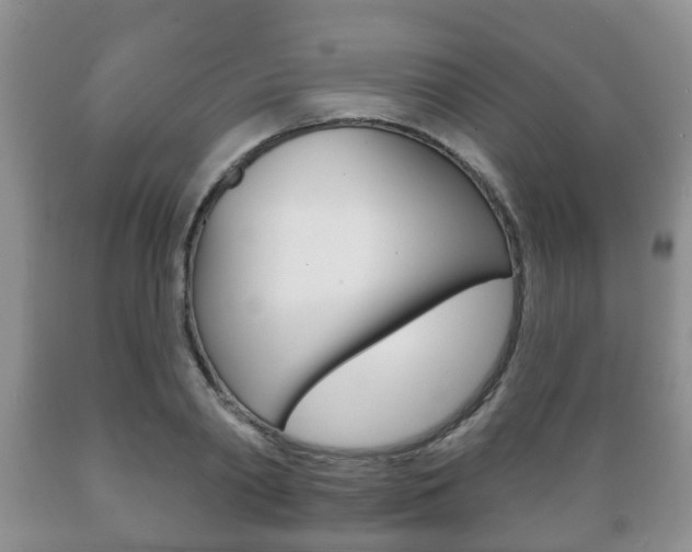 X0000089720790200706210852