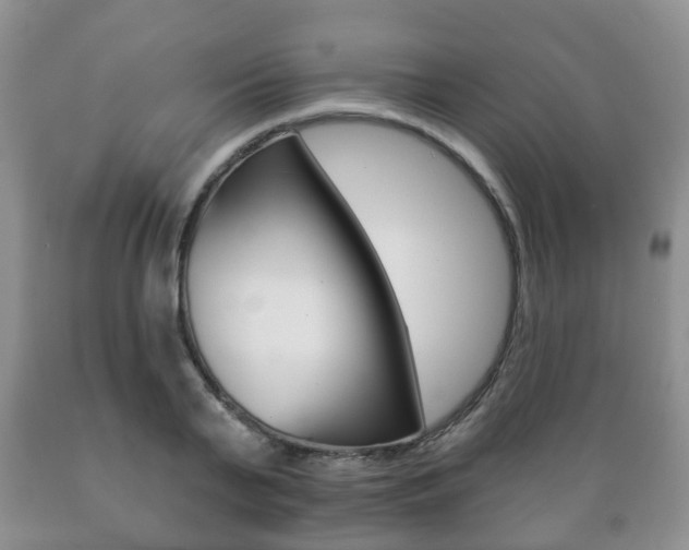 X0000089720791200706210852