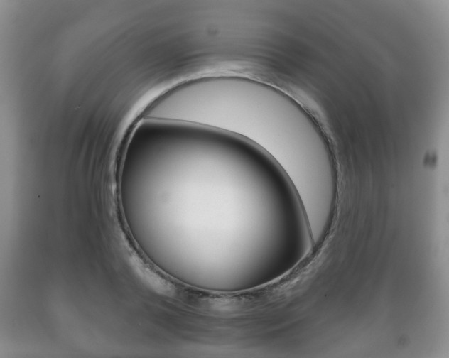 X0000089720792200706210852