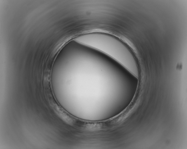 X0000089720793200706210852