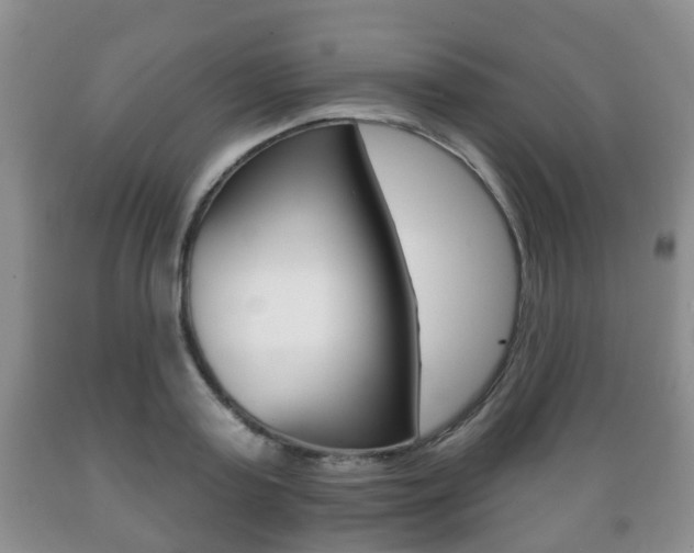 X0000089720795200706210852