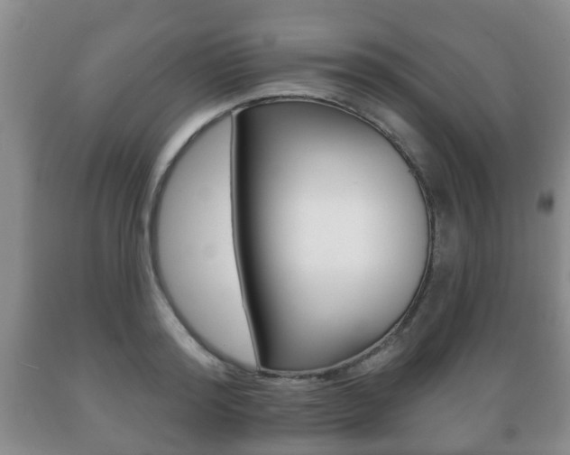 X0000089720796200706210852