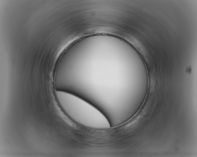 X0000089720798200706210852