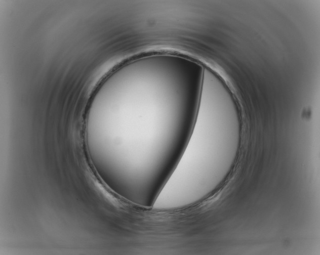 X0000089720799200706210852