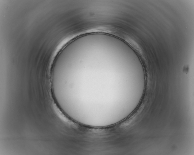 X0000089720800200706210852