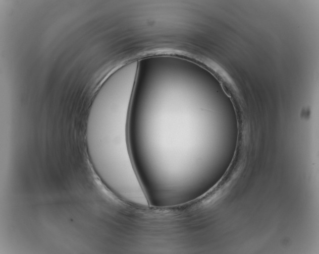 X0000089720801200706210852
