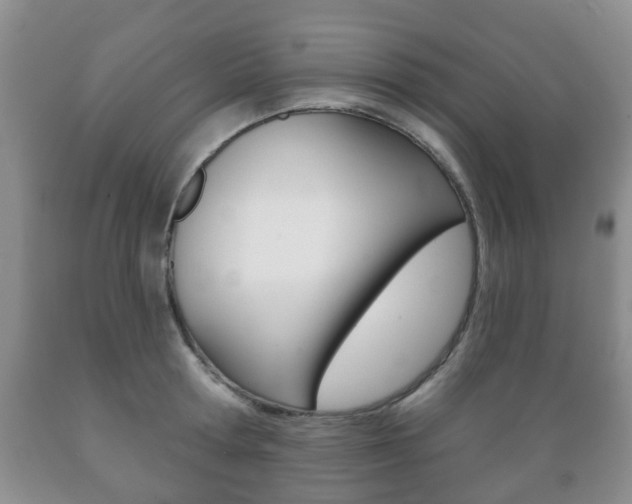 X0000089720802200706210852