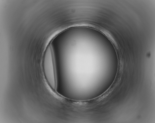 X0000089720805200706210852