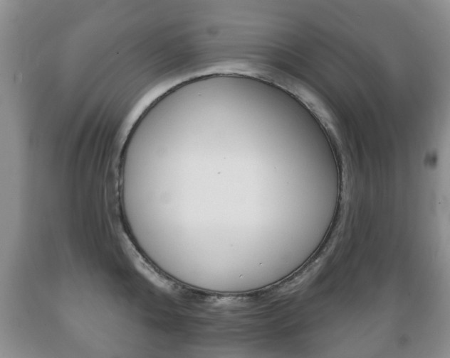 X0000089720808200706210852