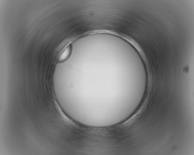 X0000089720809200706210852