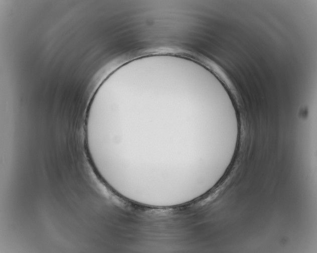 X0000089720810200706210852
