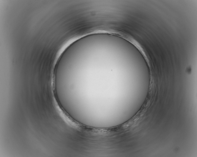 X0000089720811200706210852